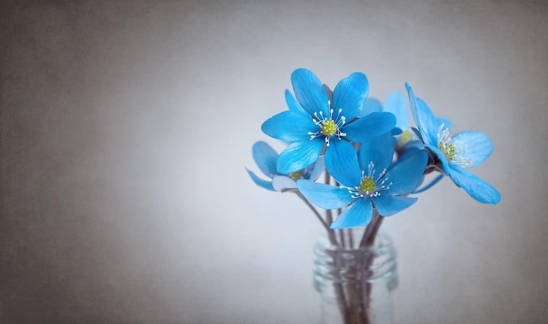 Floral Arrangements